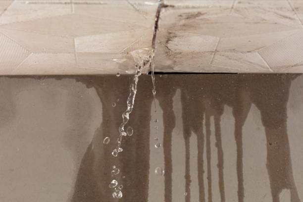 Professional Water Damage Repair technician working in Woodruff, AZ
